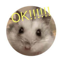 やわたさはやな