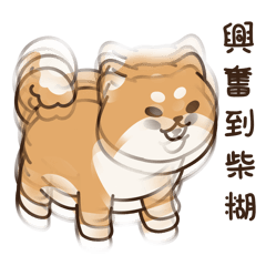 Shiba University - Cute Shiba inu