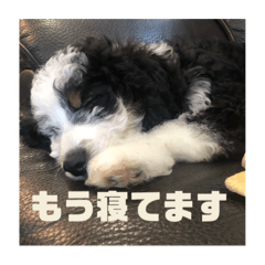 SuZu_20220903010839