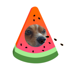 Hey!_20220902152246
