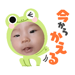 y. stamp