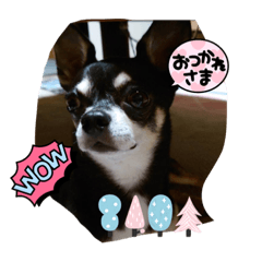 sachiko_20220902230352