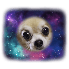 mizuki_20220903121747