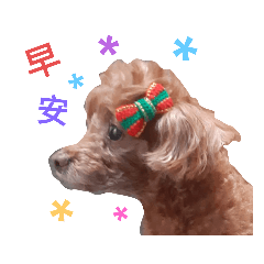 CoCo日常篇（一）