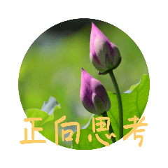 荷