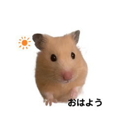 kinaco_20220903135928