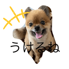 hana_20220903144446