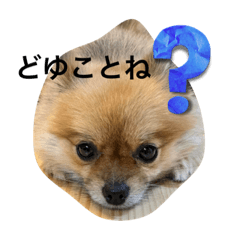 hana_20220903172714