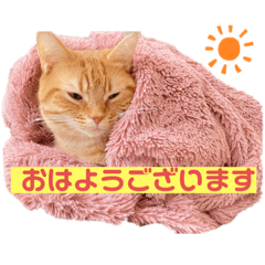 yuriemon2828_20220903181353