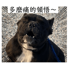日常用語啊啊啊啊啊啊啊