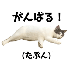 saori_20220902212759