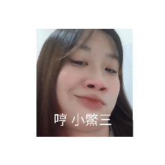 海獅日常