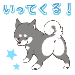 Everyday Cute Shiba WANKO 2 (Black) – LINE stickers | LINE STORE