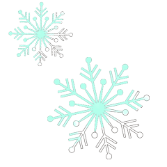 Colorful SNOW_100