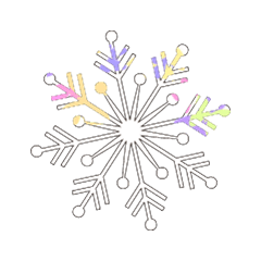 Colorful SNOW_101