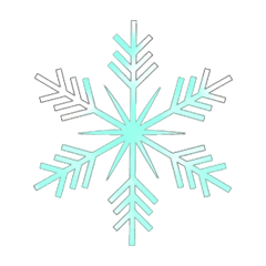 Colorful SNOW_88