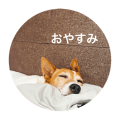miyuu_20220903214209