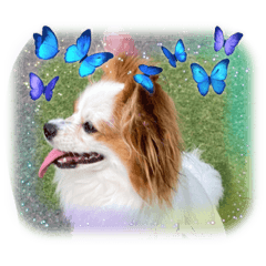 saiko_20220903220118