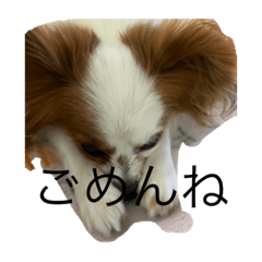 saiko_20220903220807