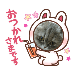 shin_20220903233320