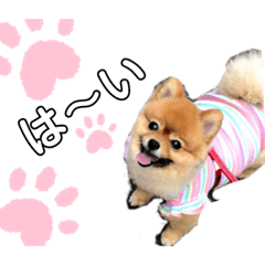 Nicolette_20220904005149