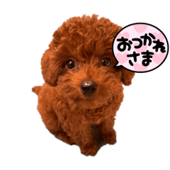Sunnie_20220904005634