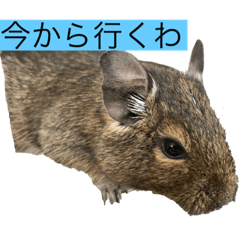 mizuki_20220904102019