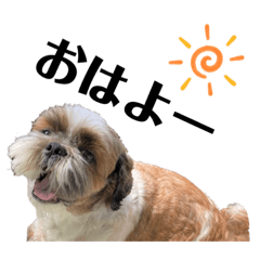 momoko_20220904011809