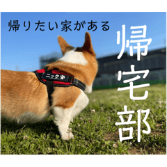 Siduki_20220904103436