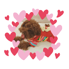 CoCo日常篇（二）