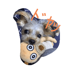 kuu_20220904150433