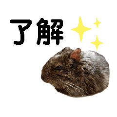 chiropu_20220904154537