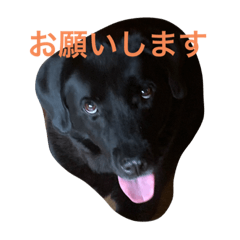 shin_20220904164829