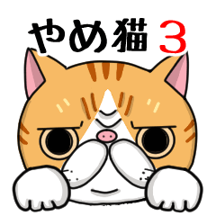 エキゾ猫ネルの八女弁・ちっご弁(福岡県)3