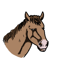 horse face-1
