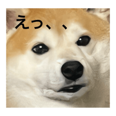 Hikaru_20220905083923