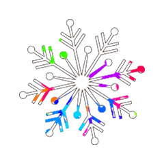 Colorful SNOW_133