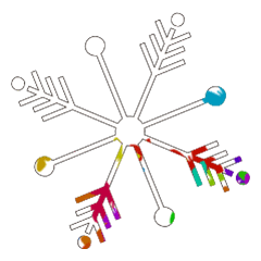 Colorful SNOW_138