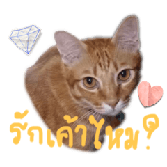 Pnyyy_20220904192636