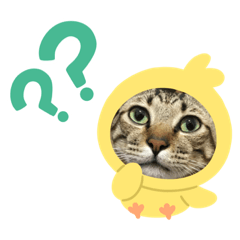 厭世阿萌
