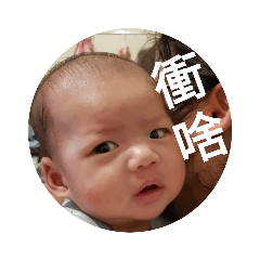 小虎表情貼