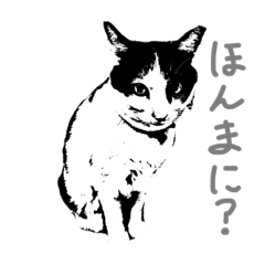 goro 3