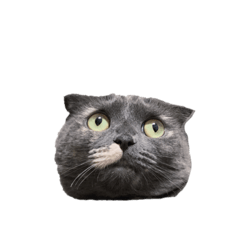 natsumi_20220904221534