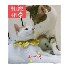 多奈相親相愛❤️