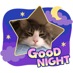 rinrin_20220904221952