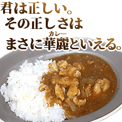 Affirmative Curry rice