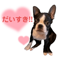 hikaru_20220905003913