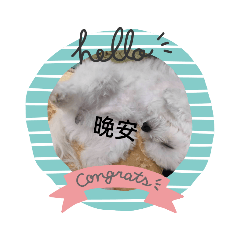 狗勾和其他貼圖