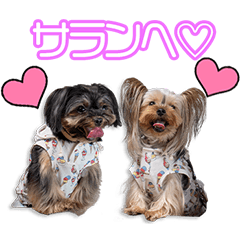 My beloved pretty Bell&Runa