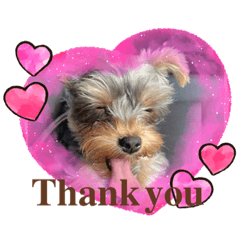 mizuki_20220905033906